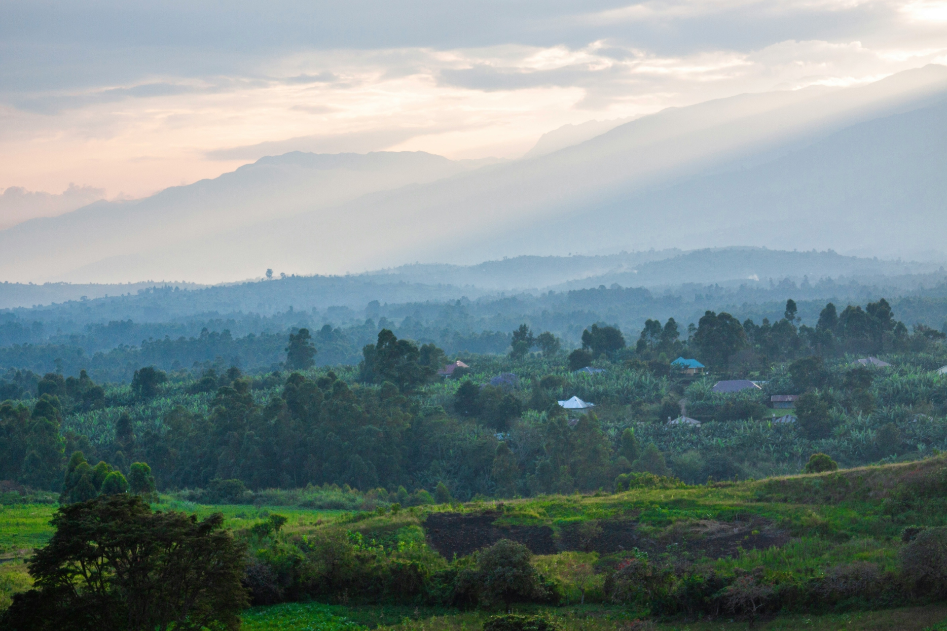 A picture of a landscape in Uganda